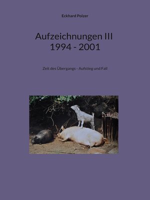 cover image of Aufzeichnungen III; 1994--2001